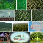 8 Billion Trees - Legit, Jobs and Reviews 