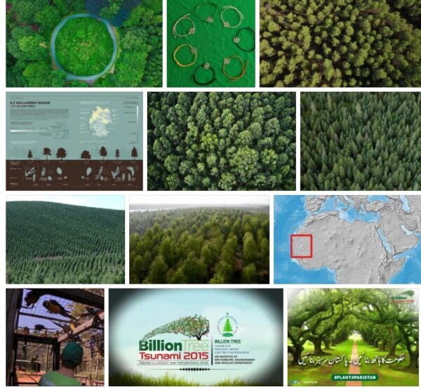 8 Billion Trees - Legit, Jobs and Reviews 