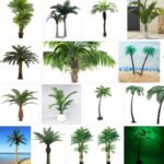 Artificial Palm Trees - Big sale ! 2021 