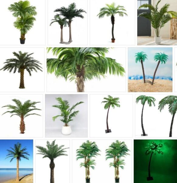 Artificial Palm Trees - Big sale ! 2021 