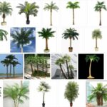 Artificial Palm Trees - Big sale ! 2021 