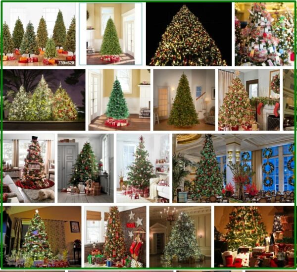 Big Lots Christmas Trees **2021 