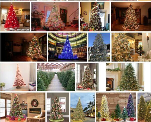 Big Lots Christmas Trees **2021 
