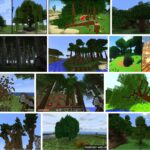 Dynamic Trees Mod, How To Game Mod 1.16.5 Mcpe 