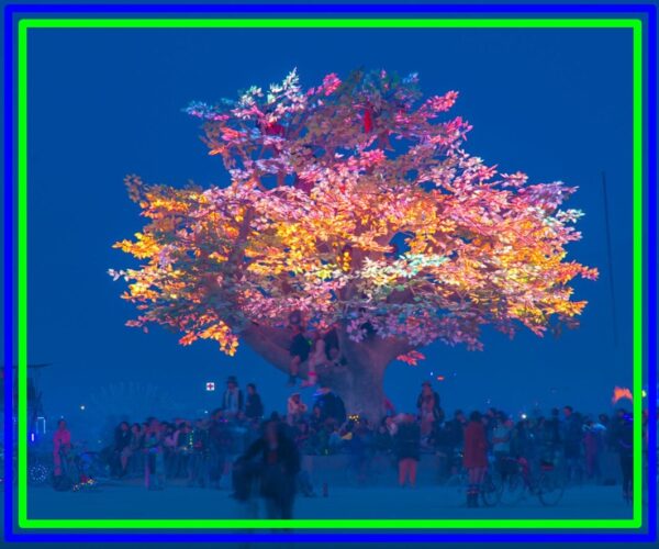 Festival of Trees, Georgia World Congress Center ** 2021 