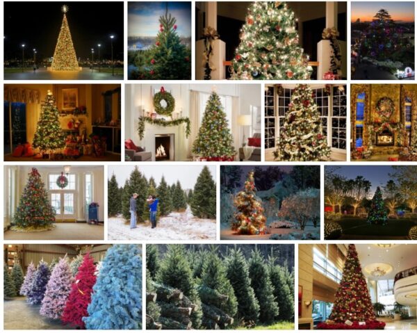 Walmart Christmas Trees - Trees On Sale *2021 