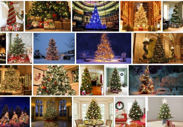 Menards Christmas Trees - Cheapest Christmas Trees **2021 