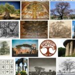 Trees of Antiquity - Reviews & Comments 2021 