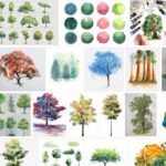 Watercolor Trees - 1453 Watercolor Trees ideas in 2021 