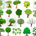 Cartoon Trees, 108 Free Premium Background Images 