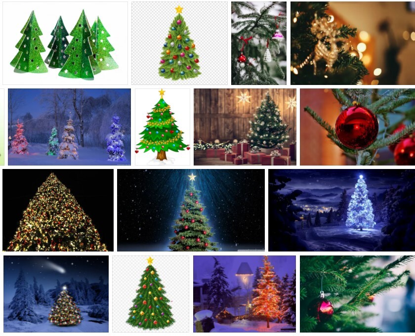 Free Christmas Trees Near You Where To Find Them