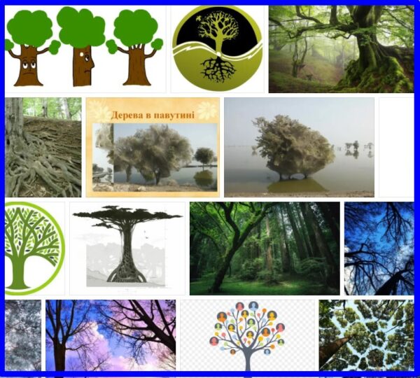 Trees Network,  Best of +93 Trees Network Pictures ! 