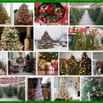 Costco Christmas Trees, Big Discount !!! For Sale 2021 