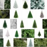 Crystal Trees, What Are Crystal Trees? 