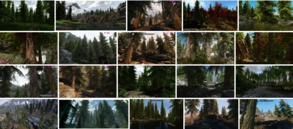 Enhanced Vanilla Trees, Skyrim Special 2021 