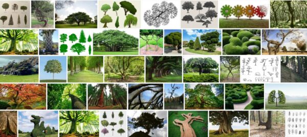 J Shaped Trees, 43+ Warning Signs From Nature 