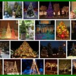 Outdoor Christmas Trees, New Trend ***2022 