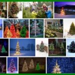 Outdoor Christmas Trees, New Trend ***2022 