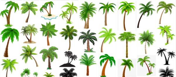 Palm Trees Clipart, Free 210 Clip Art Collection of Palm Tree 