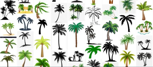 Palm Trees Clipart, Free 210 Clip Art Collection of Palm Tree 