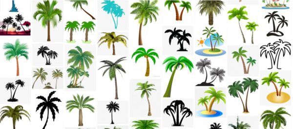 Palm Trees Clipart, Free 210 Clip Art Collection of Palm Tree 