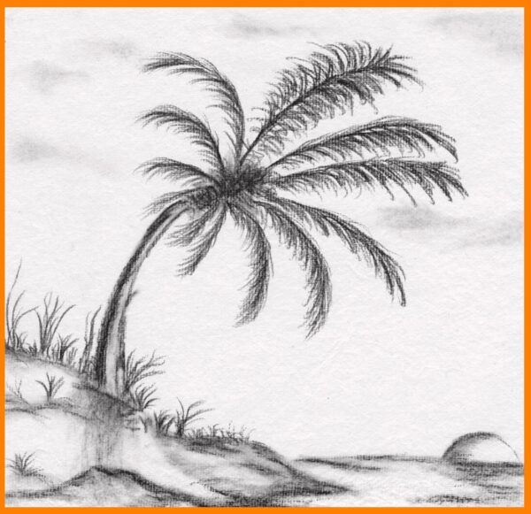 Palm Trees Drawing, How To Palm Trees Easy ? 