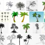 Palm Trees Drawing, How To Palm Trees Easy ? 