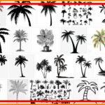 Palm Trees Drawing, How To Palm Trees Easy ? 