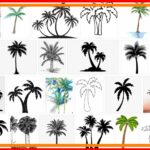 Palm Trees Drawing, How To Palm Trees Easy ? 