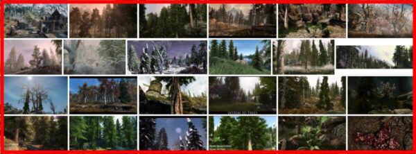 Skyrim 3d Trees, How To Install Skyrim 3D Trees 