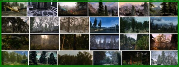 Skyrim 3d Trees, How To Install Skyrim 3D Trees 