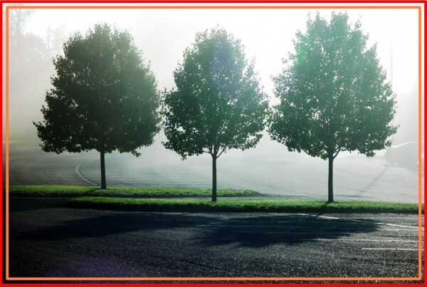 Three Trees, Bletchley and Farm Shop 